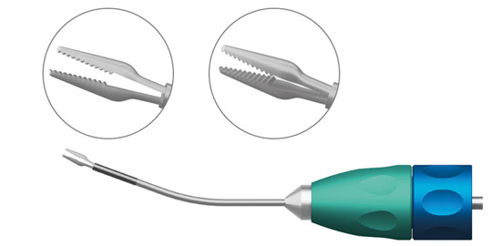 TMV170 "CROCODILE" FORCEPS