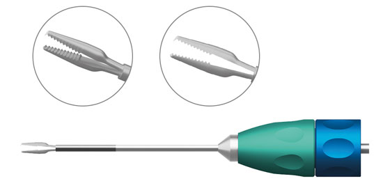 TMV178 GRIPPING FORCEPS WITH TOOTH