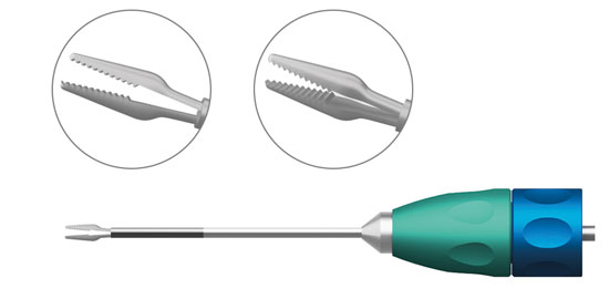 TMV190 "CROCODILE" FORCEPS